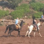 Barrel races. 